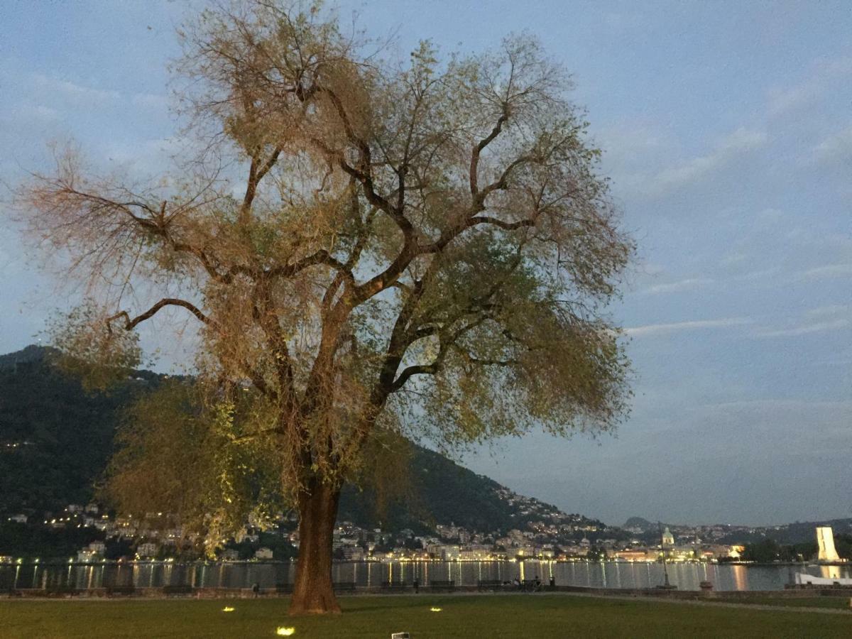 IRIS 2 lago di Como Dongo Exterior foto